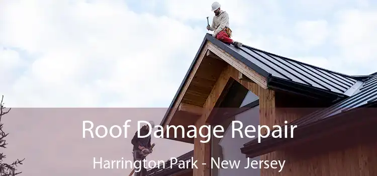 Roof Damage Repair Harrington Park - New Jersey