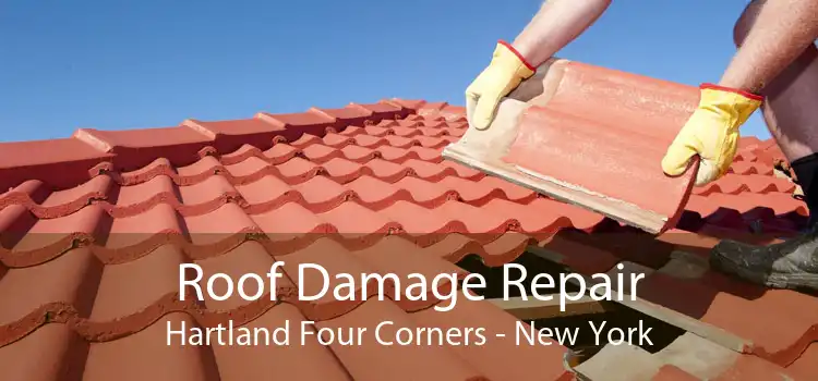 Roof Damage Repair Hartland Four Corners - New York