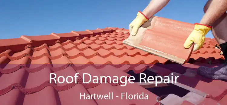 Roof Damage Repair Hartwell - Florida