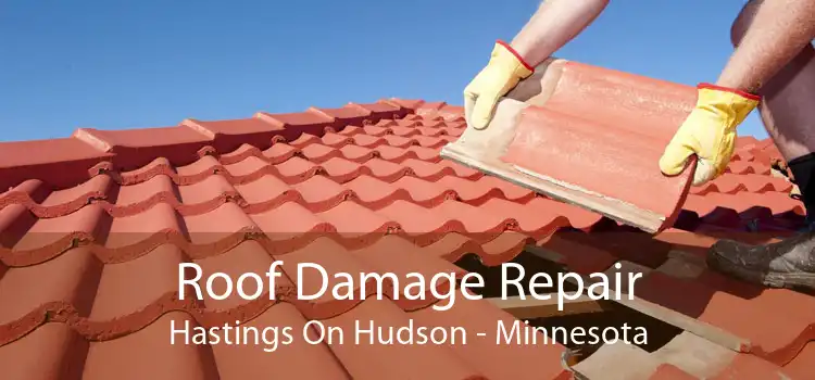 Roof Damage Repair Hastings On Hudson - Minnesota