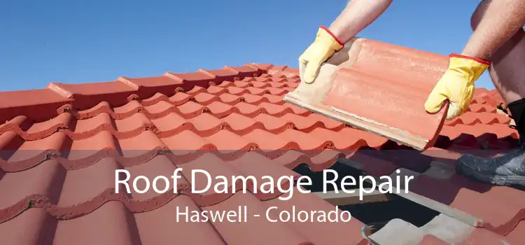 Roof Damage Repair Haswell - Colorado