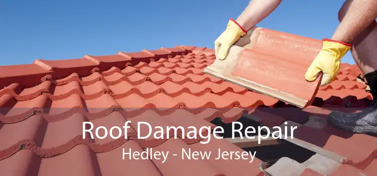 Roof Damage Repair Hedley - New Jersey
