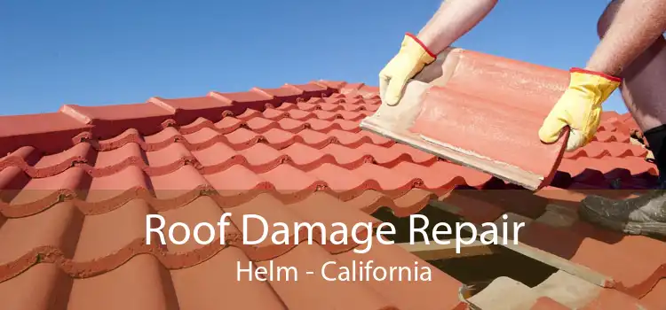 Roof Damage Repair Helm - California