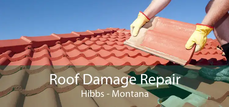 Roof Damage Repair Hibbs - Montana
