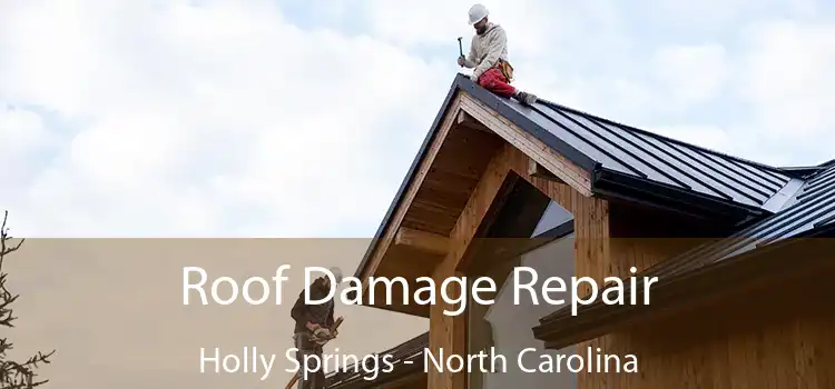 Roof Damage Repair Holly Springs - North Carolina