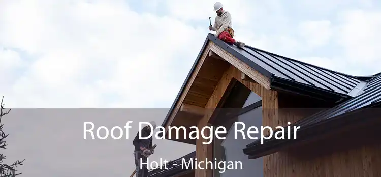 Roof Damage Repair Holt - Michigan