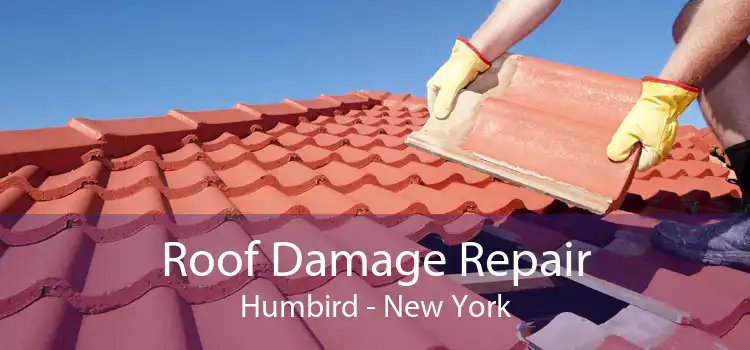 Roof Damage Repair Humbird - New York