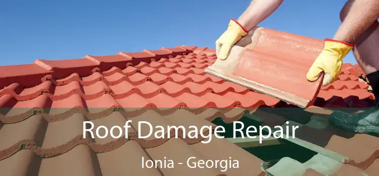 Roof Damage Repair Ionia - Georgia