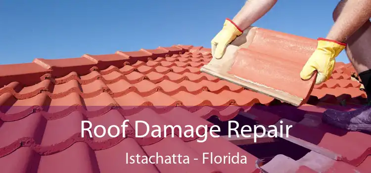 Roof Damage Repair Istachatta - Florida