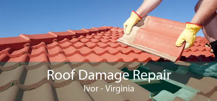 Roof Damage Repair Ivor - Virginia