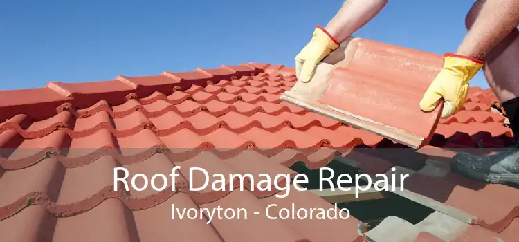 Roof Damage Repair Ivoryton - Colorado