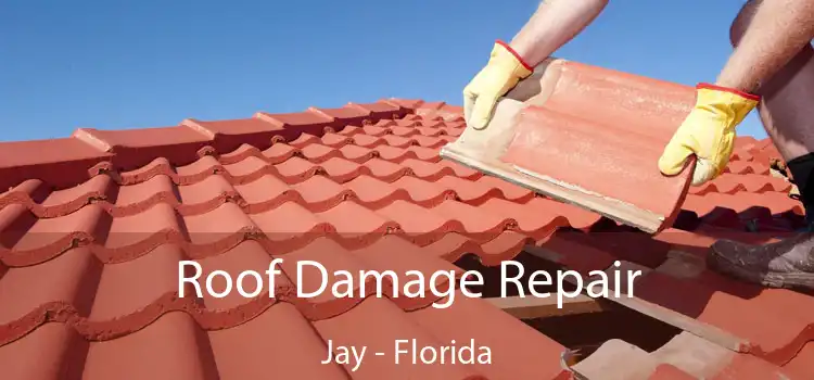 Roof Damage Repair Jay - Florida