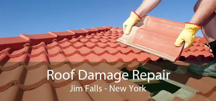 Roof Damage Repair Jim Falls - New York