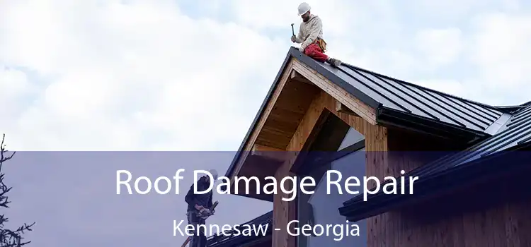 Roof Damage Repair Kennesaw - Georgia