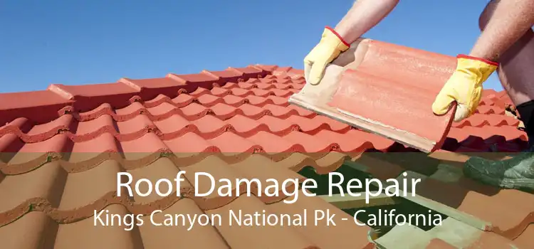 Roof Damage Repair Kings Canyon National Pk - California