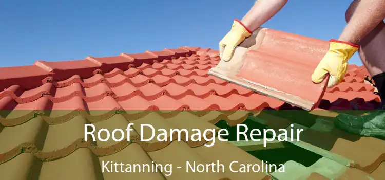 Roof Damage Repair Kittanning - North Carolina