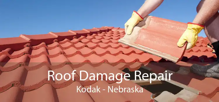 Roof Damage Repair Kodak - Nebraska