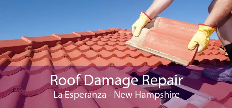 Roof Damage Repair La Esperanza - New Hampshire