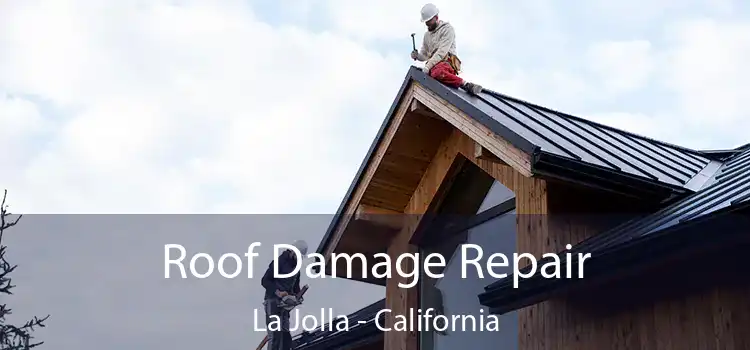 Roof Damage Repair La Jolla - California