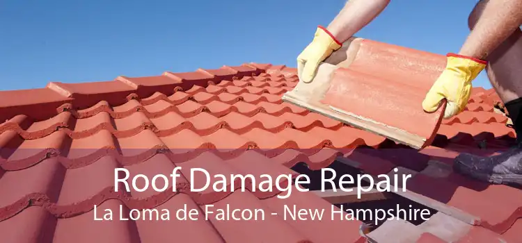 Roof Damage Repair La Loma de Falcon - New Hampshire