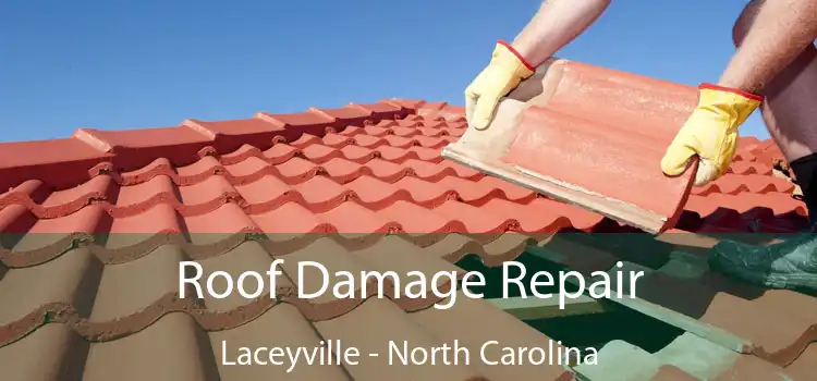 Roof Damage Repair Laceyville - North Carolina