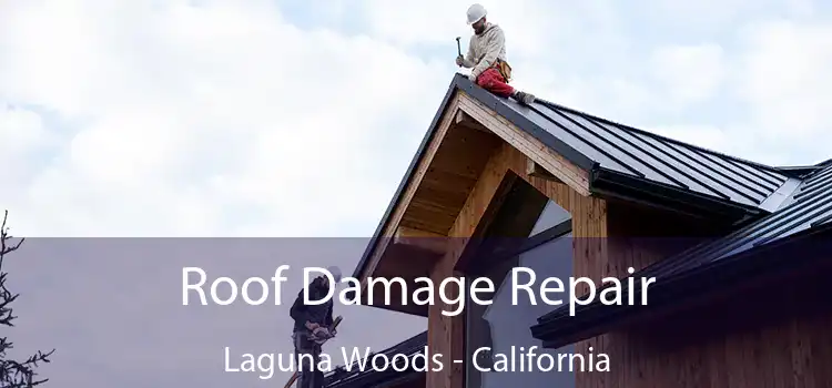 Roof Damage Repair Laguna Woods - California