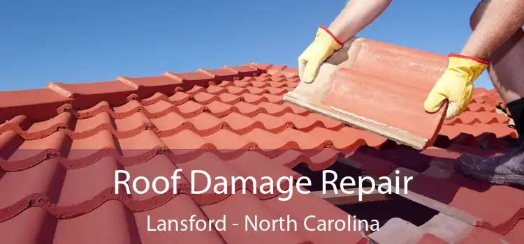 Roof Damage Repair Lansford - North Carolina