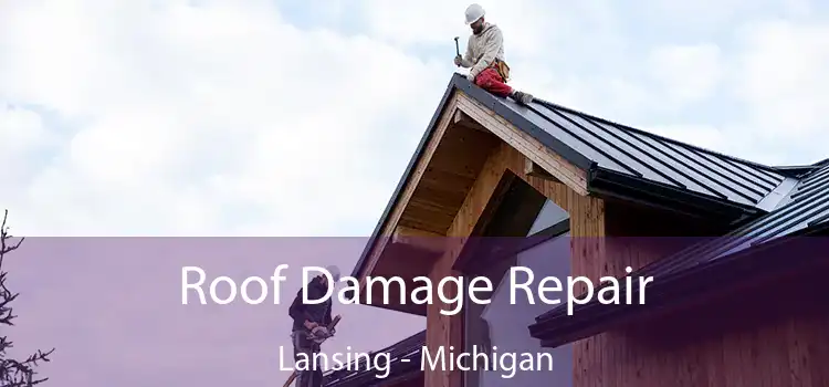 Roof Damage Repair Lansing - Michigan