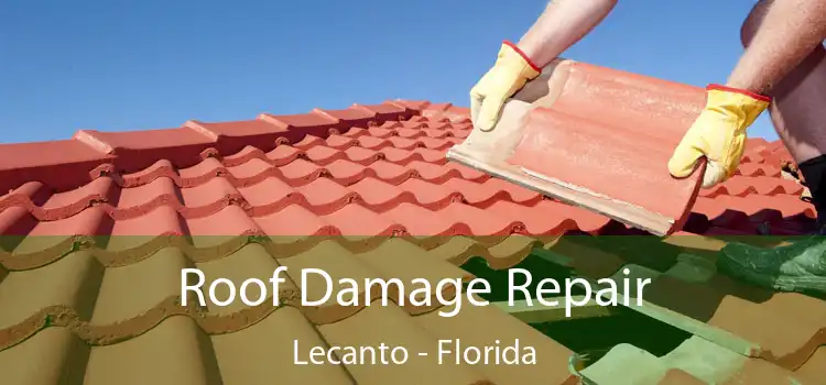 Roof Damage Repair Lecanto - Florida