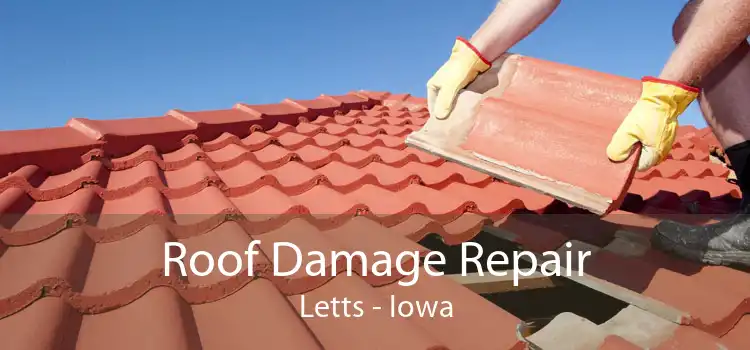 Roof Damage Repair Letts - Iowa