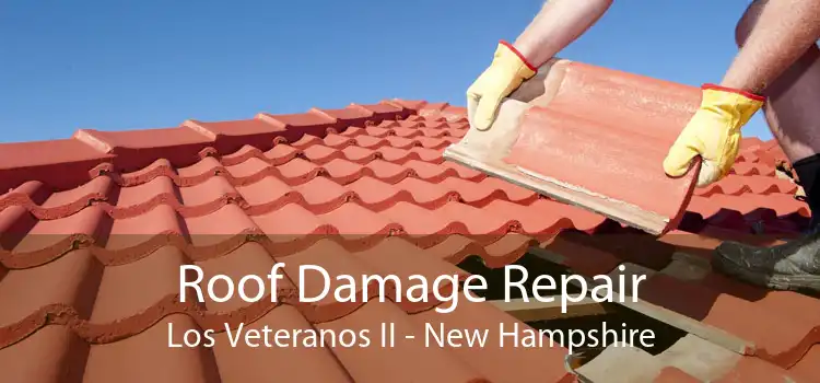 Roof Damage Repair Los Veteranos II - New Hampshire