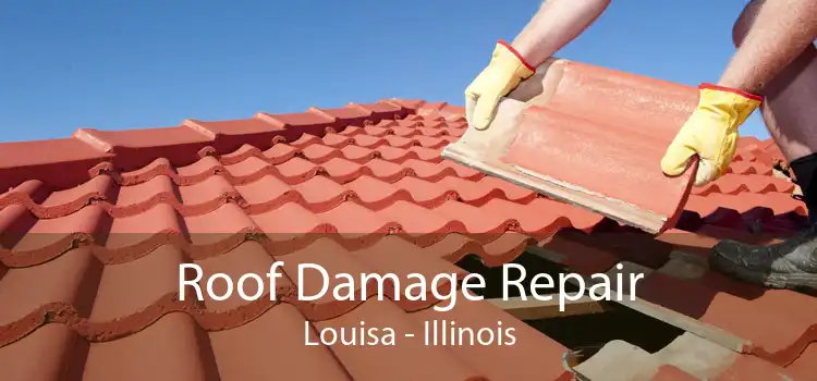 Roof Damage Repair Louisa - Illinois