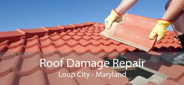 Roof Damage Repair Loup City - Maryland
