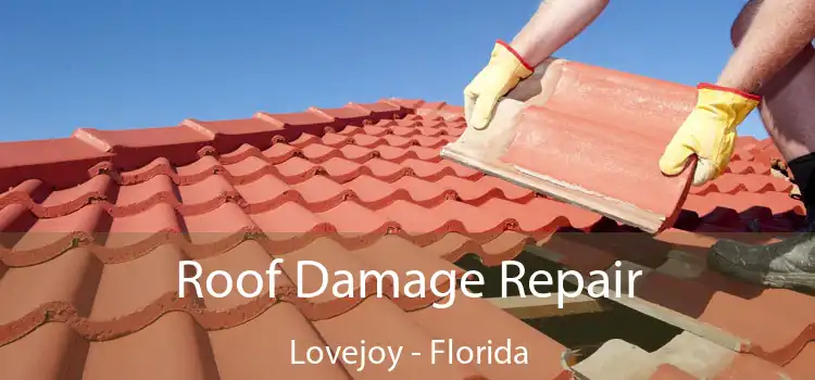 Roof Damage Repair Lovejoy - Florida