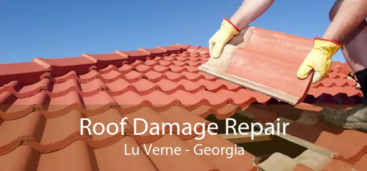 Roof Damage Repair Lu Verne - Georgia