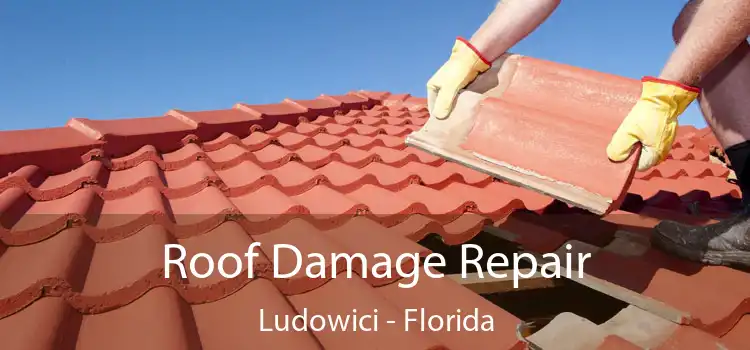 Roof Damage Repair Ludowici - Florida