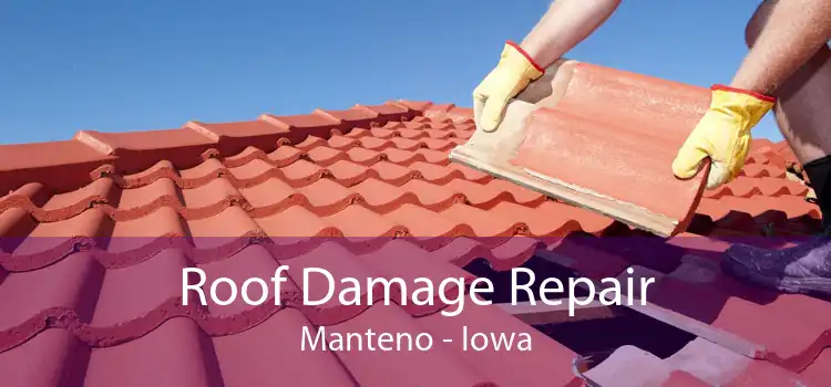 Roof Damage Repair Manteno - Iowa