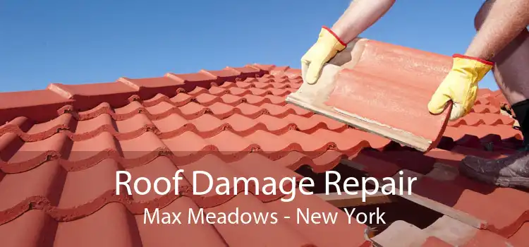 Roof Damage Repair Max Meadows - New York