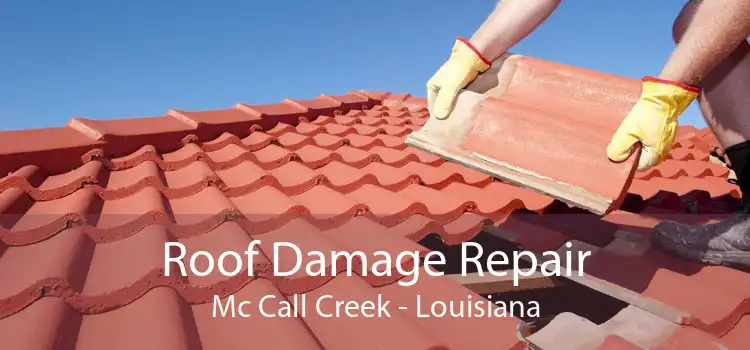 Roof Damage Repair Mc Call Creek - Louisiana