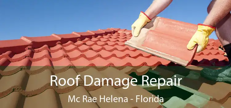 Roof Damage Repair Mc Rae Helena - Florida