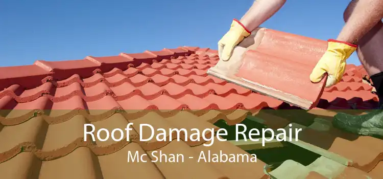 Roof Damage Repair Mc Shan - Alabama