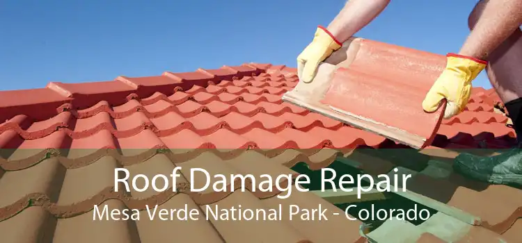 Roof Damage Repair Mesa Verde National Park - Colorado