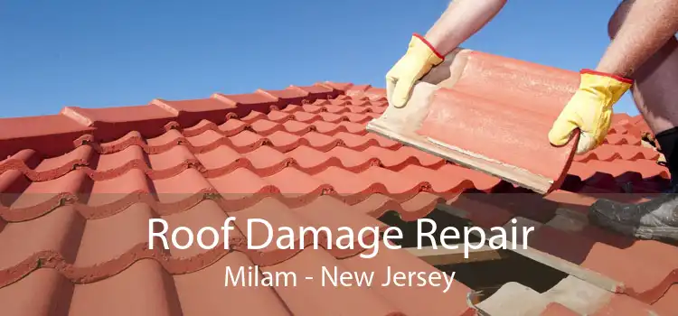 Roof Damage Repair Milam - New Jersey