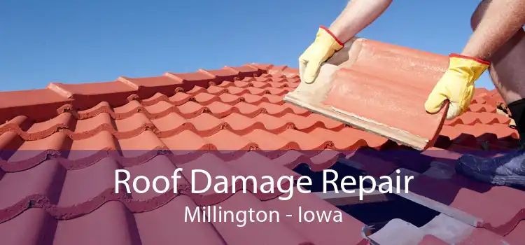 Roof Damage Repair Millington - Iowa