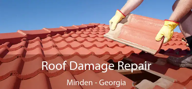 Roof Damage Repair Minden - Georgia