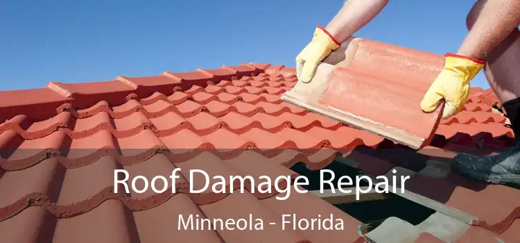 Roof Damage Repair Minneola - Florida