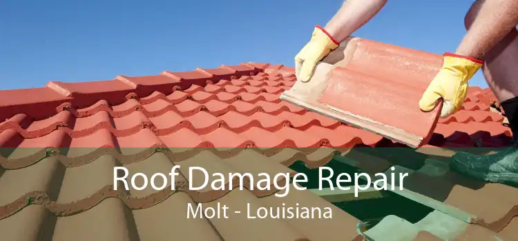 Roof Damage Repair Molt - Louisiana