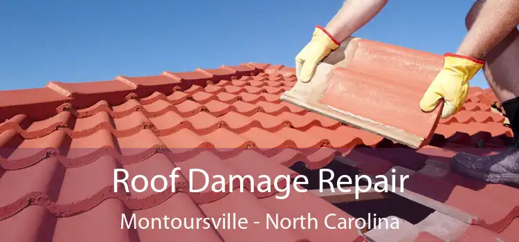 Roof Damage Repair Montoursville - North Carolina