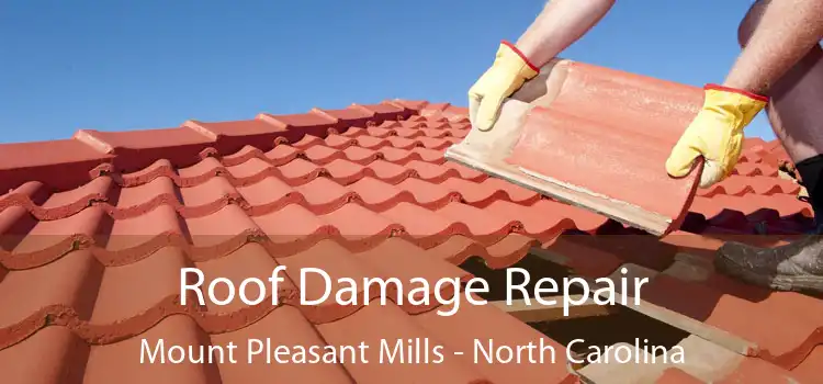 Roof Damage Repair Mount Pleasant Mills - North Carolina