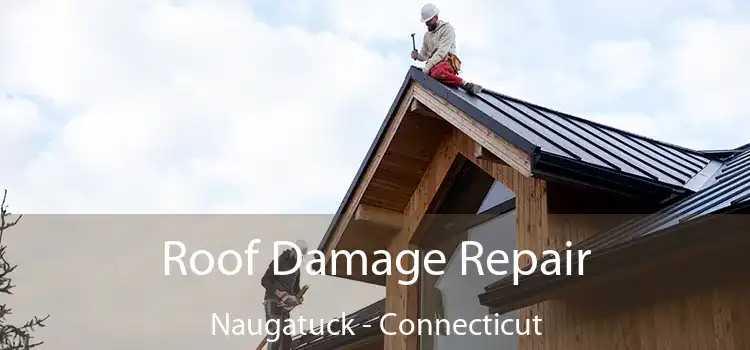 Roof Damage Repair Naugatuck - Connecticut